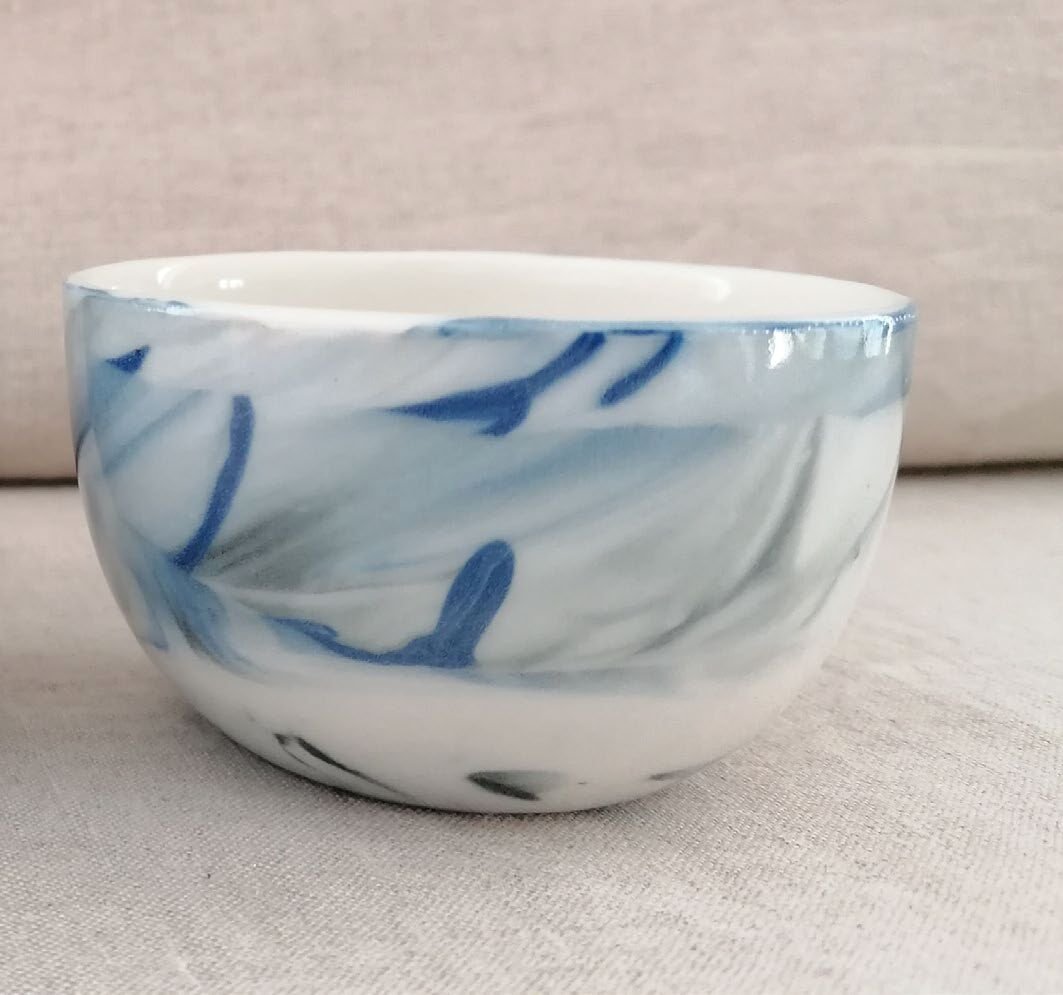 Laboratorio de porcelana — Color y colada
