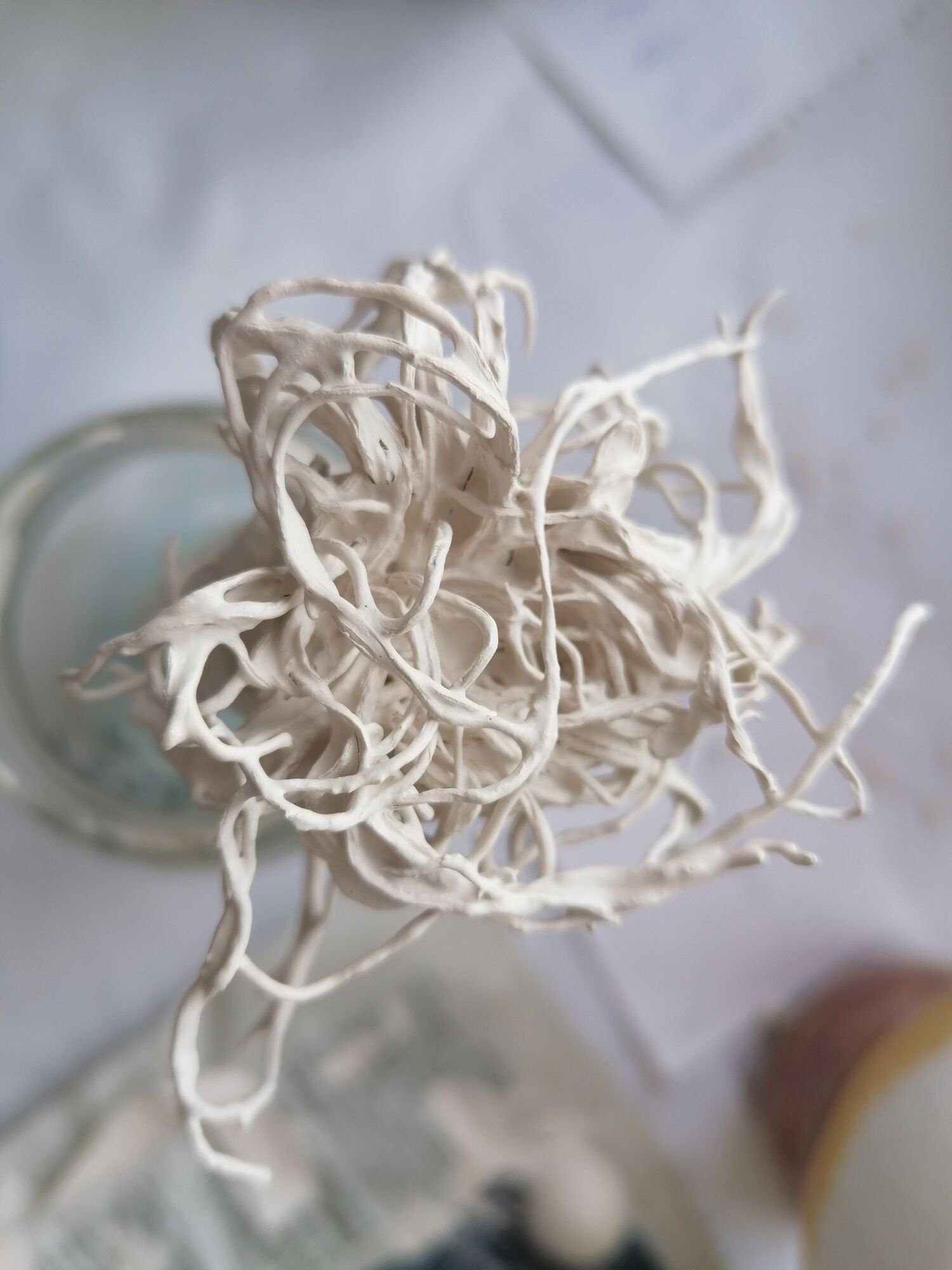 Laboratorio de porcelana — Materiales sumergidos
